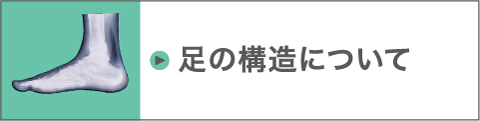 足の構造について